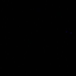 Meet your Posher, Josephine